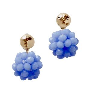 Lilly Pulitzer NWT Caliente Clip On Earrings Blue Peri $48